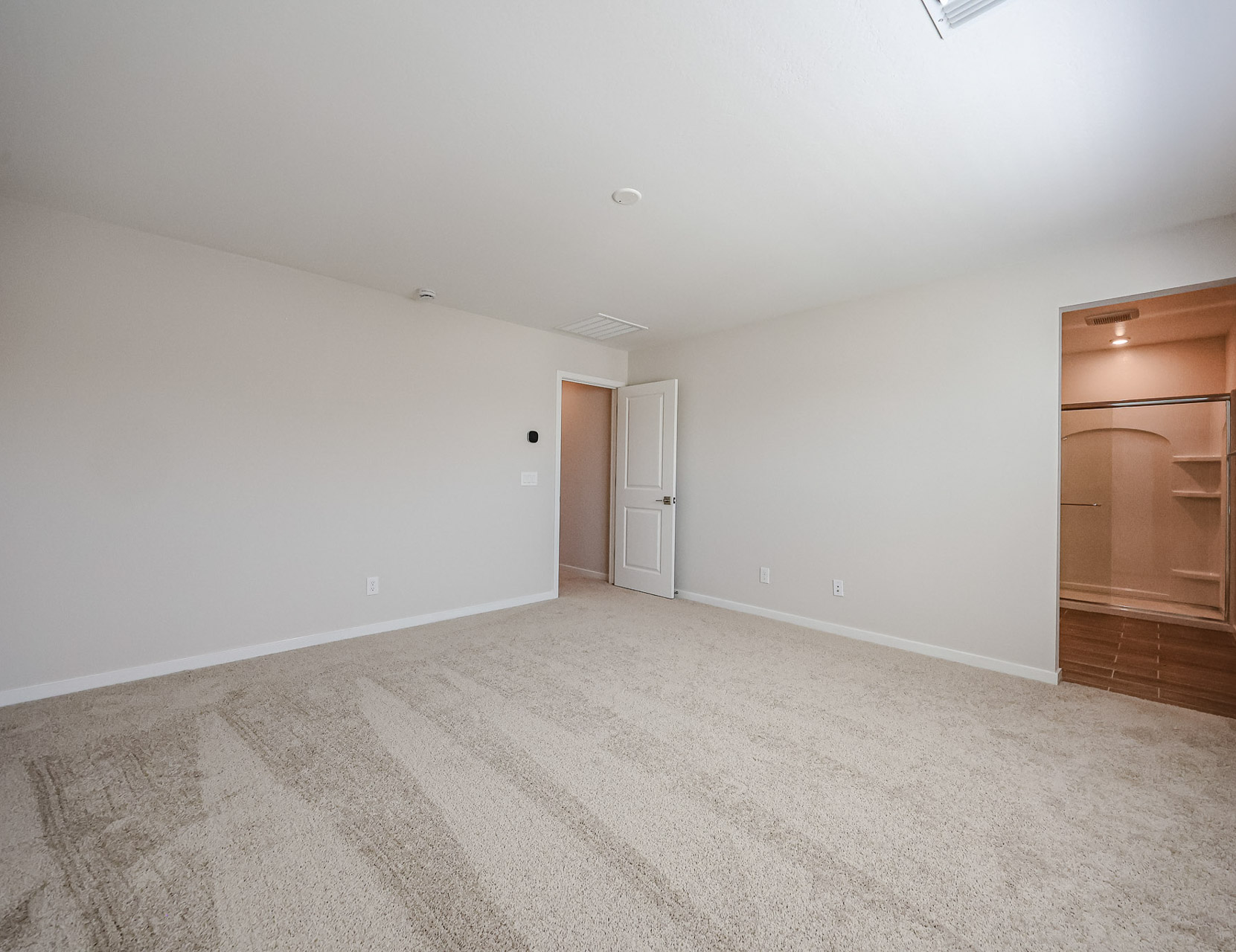 A room with a carpet and doors.