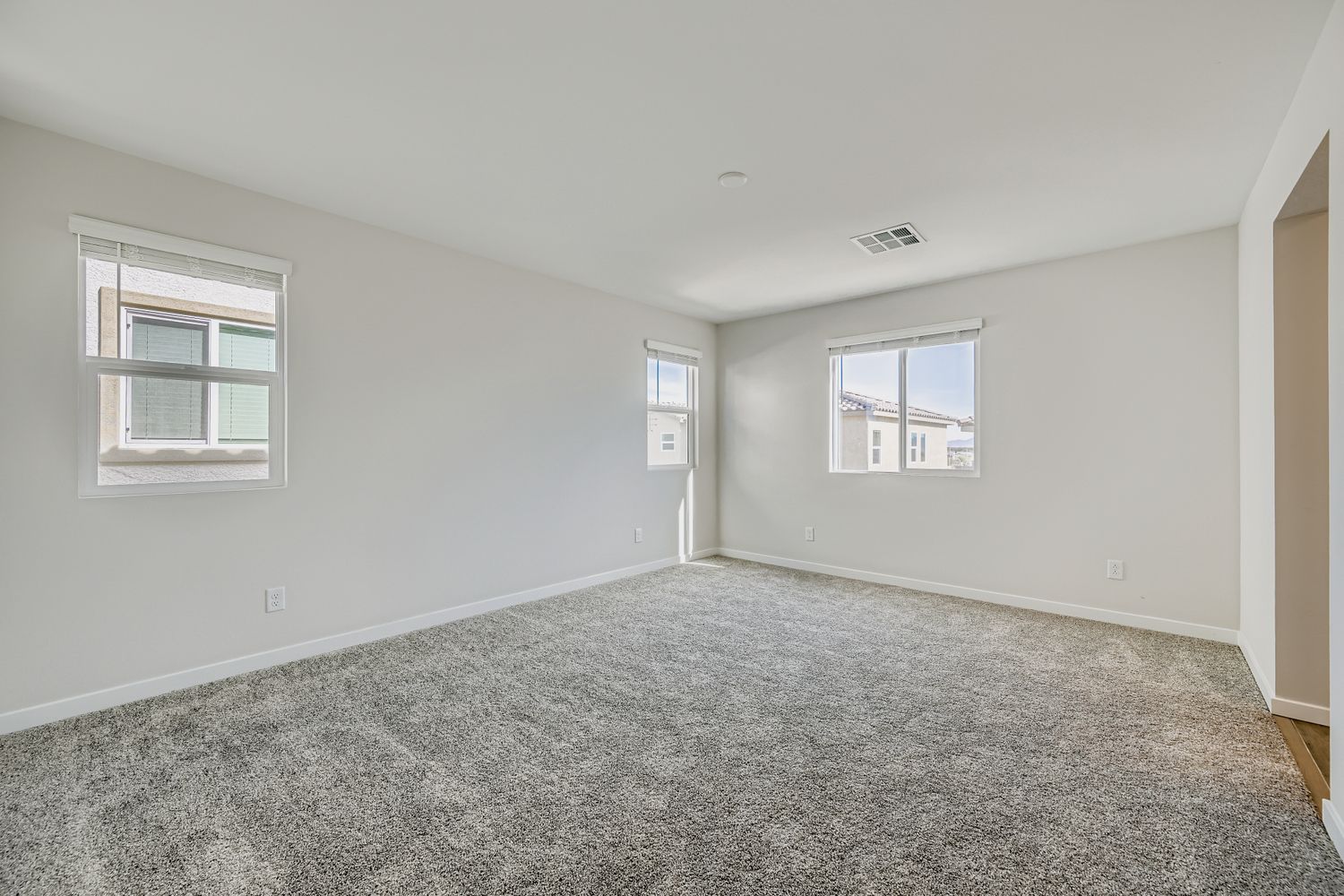 A room with a carpet and windows.
