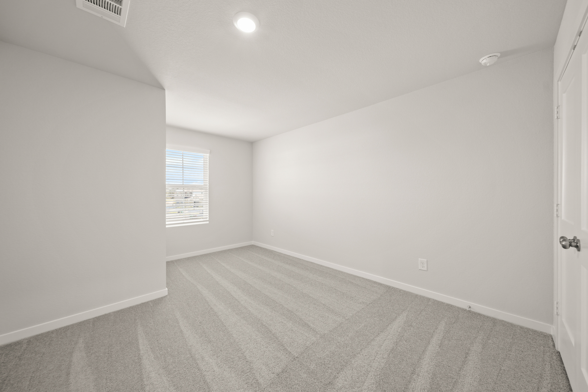 A room with a carpet and a door.