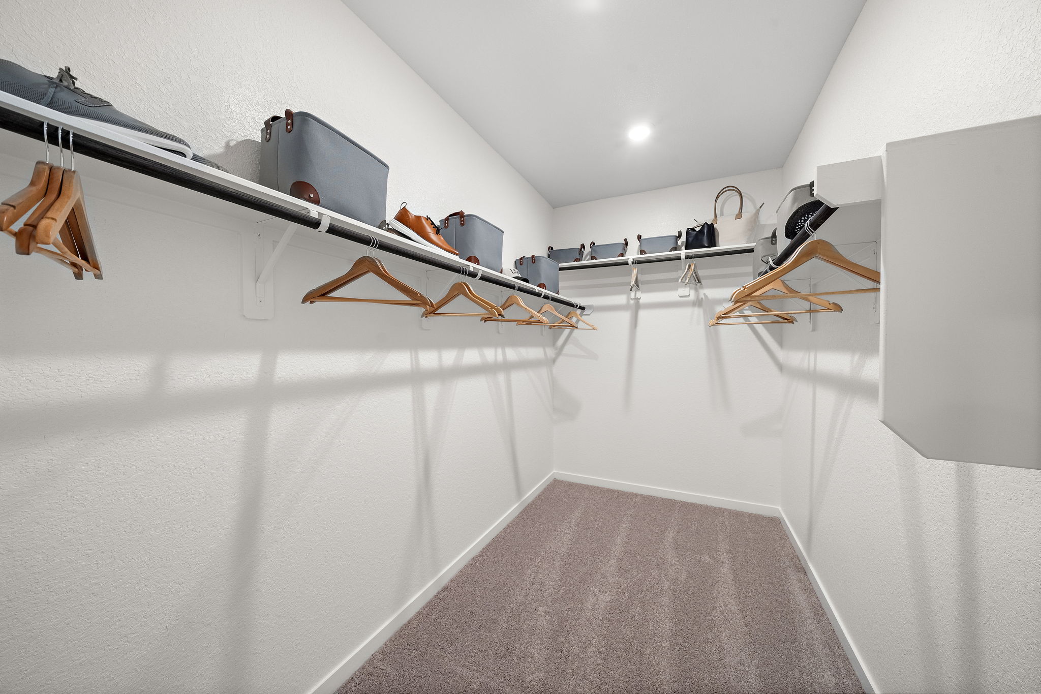 A room with a staircase and a rug.