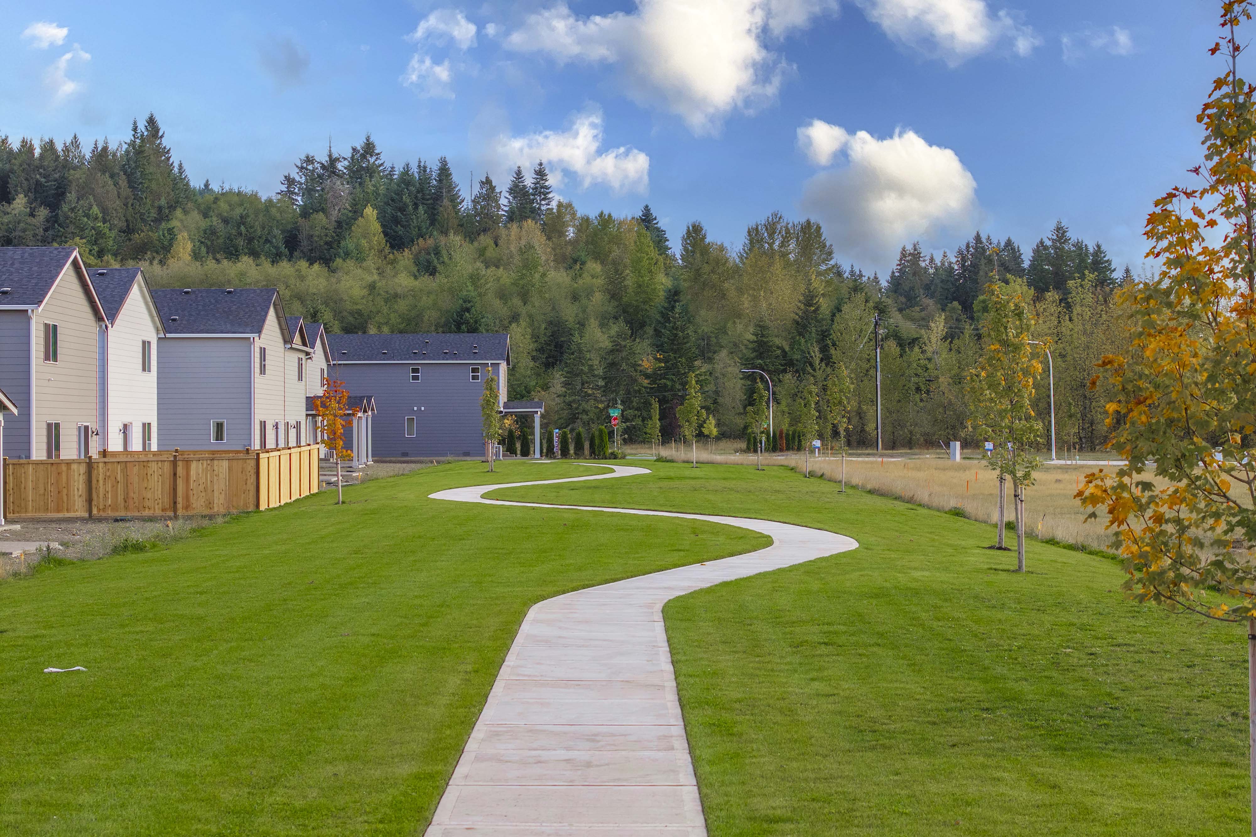 A path leading to a building.