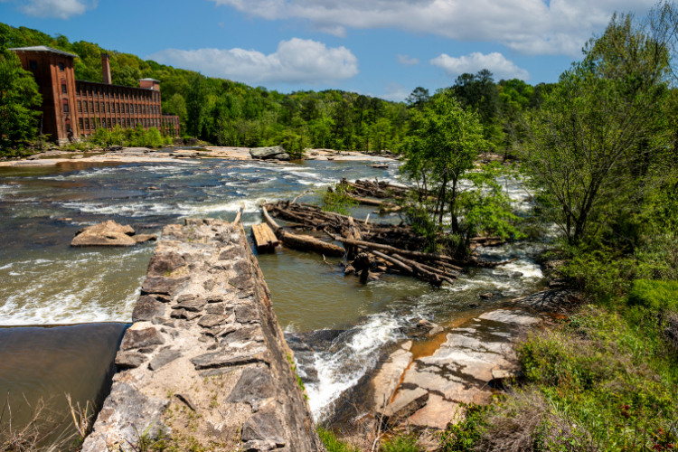 A river with rocks and trees.